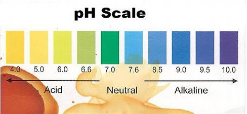 PH balance scale